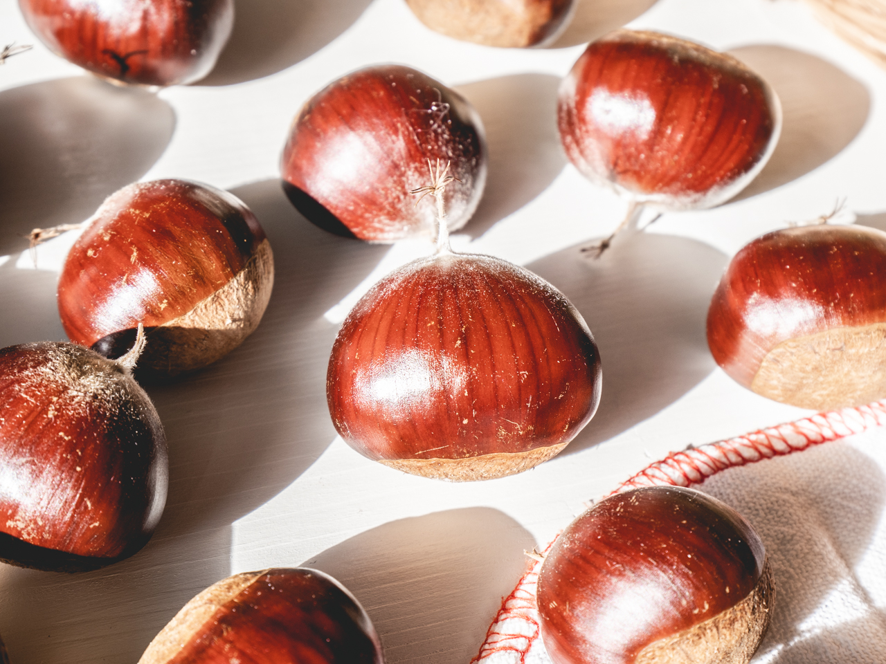 小さな栗の木からの贈り物 北海道さんとわたし